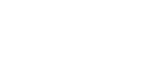 client icon