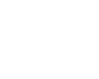 client icon