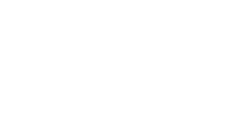 client icon