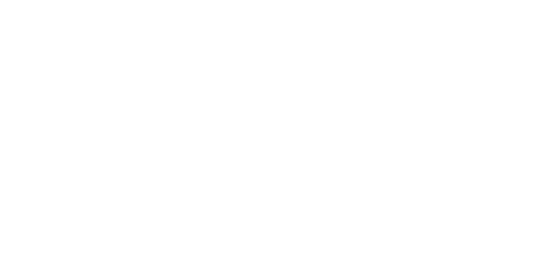 client icon