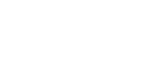 client icon
