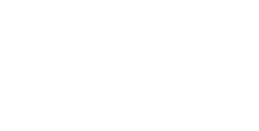client icon