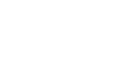 client icon